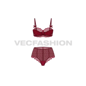 Women Laced Bra and Panties Set